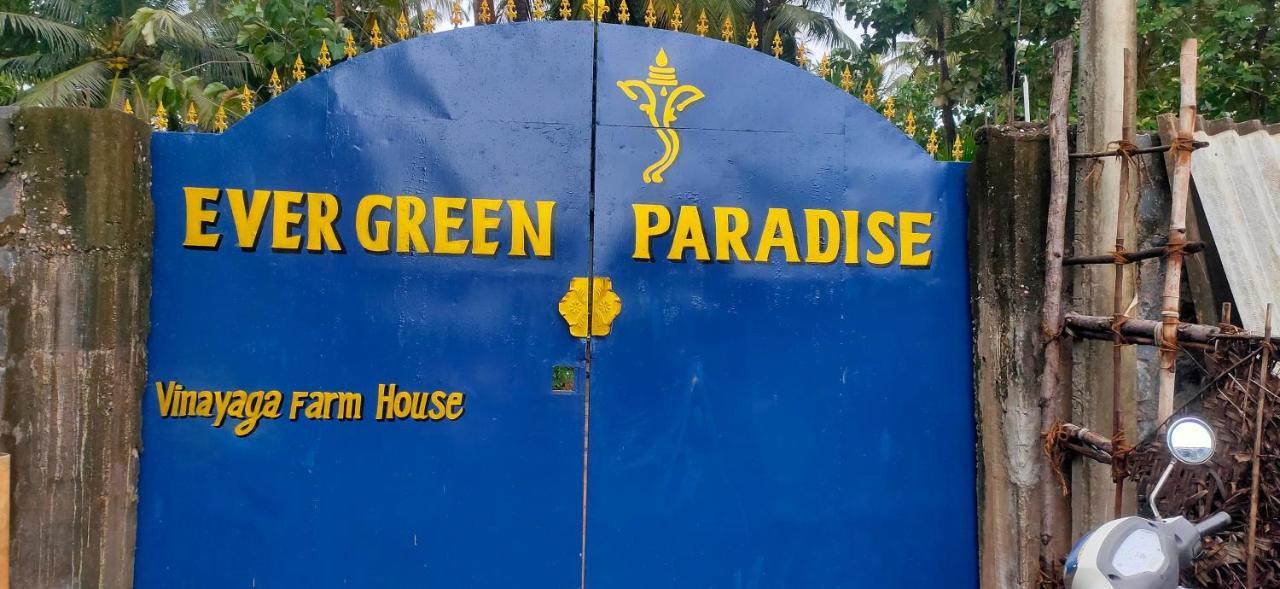 Evergreen Paradise Pondicherry Oda fotoğraf