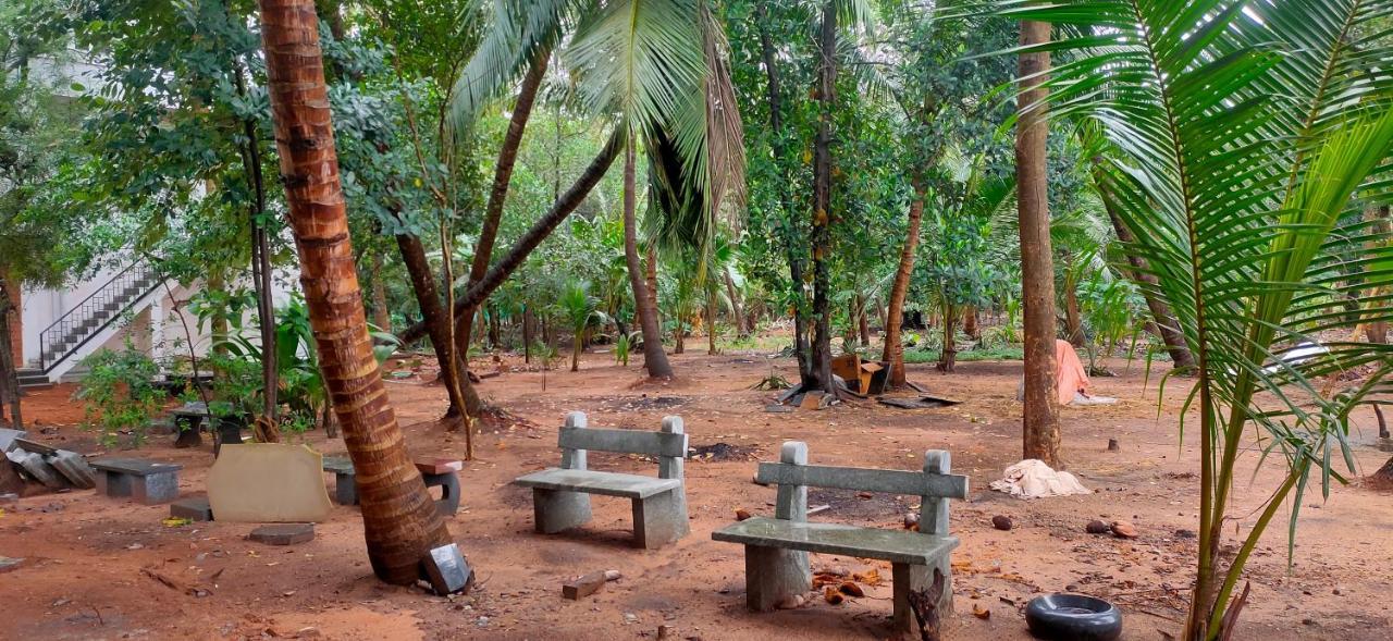Evergreen Paradise Pondicherry Oda fotoğraf