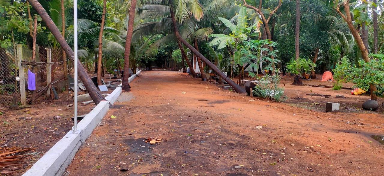 Evergreen Paradise Pondicherry Oda fotoğraf